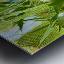 Wings and Spikes Metal print