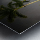 IMG 0438 Metal print