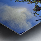 IMG 0024 Metal print