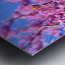 IMG 1620 Metal print