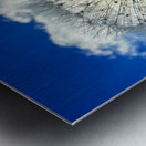 IMG 1740 Metal print