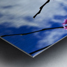 IMG 1550 Metal print