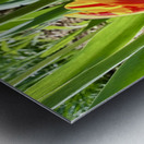 IMG 1605 Metal print