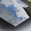 Out of Africa 1 Metal print