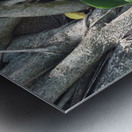 Natural Orchid 1B Metal print