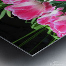 Tulips Are Better Than One C Metal print