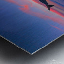 Flying into the Sunset 2 Metal print