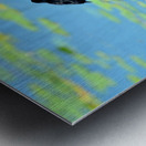 Calling for a Mate Metal print