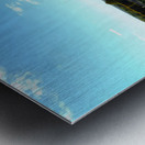 Palace of Versailles -- Gardens 4 Metal print