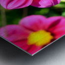 Flower Bloom 7 Metal print