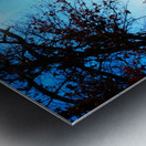 Winterscape 2B Metal print