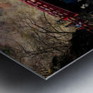 Water Under the Japanese Bridge Metal print