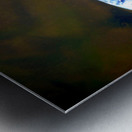 An American Koi Story Metal print