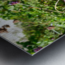 Monarch Butterfly Metal print