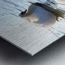 Behind Wings of Love 1A Metal print