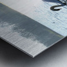 Wings of Love Pair 1B Metal print