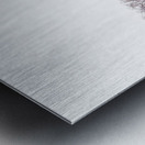 Horsehead Sculpture Metal print