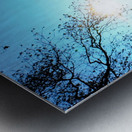 Swan Yoga Morning Stretch Metal print