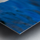 Swan Face 3 Metal print