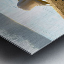 Swan Yoga Morning Stretch 3 Metal print