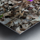 Petals of Renewal Metal print