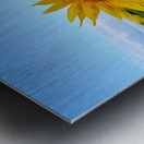 First Light Flower Metal print