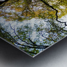 The Quiet Barrel Metal print