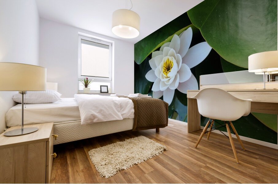 The Heart Within: Petals of Peace Mural print