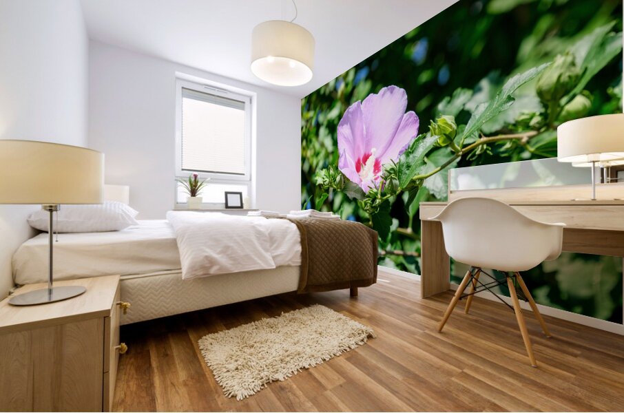 A Hibiscus Glimpse into Nature’s Heartbeat Mural print