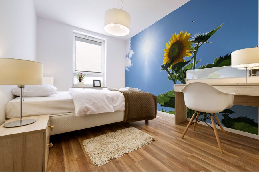 Skyward Confession: A Sunflower’s Secret Mural print