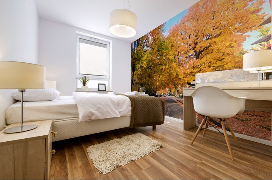 Fall Over the Road: Whispers of Fall Mural print