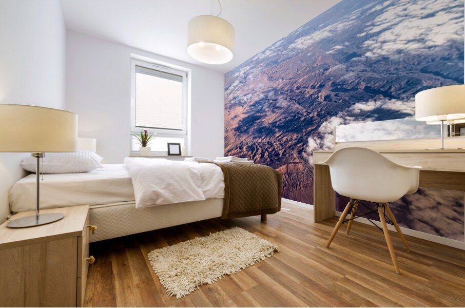 Veins of the Earth: Colorado River from Above Mural print