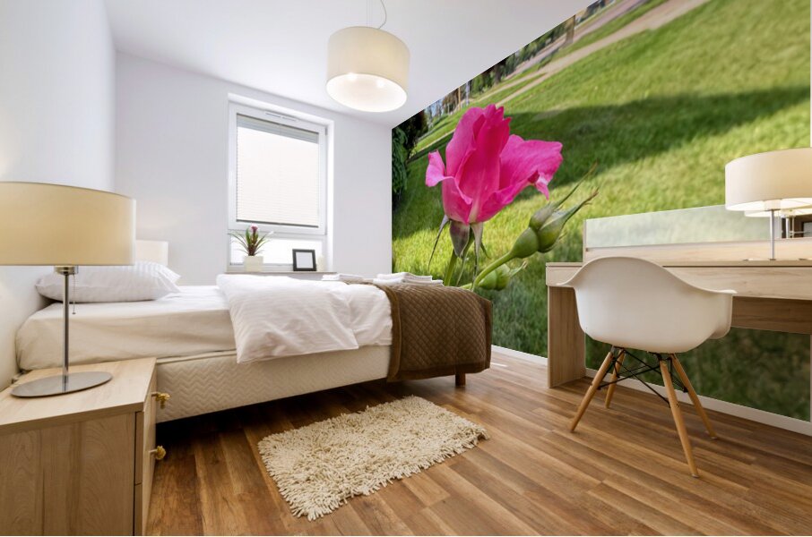 The Rose That Listened to the Wind Mural print