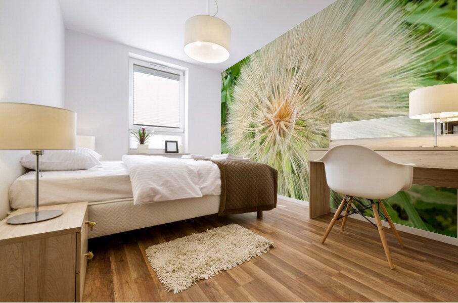 Prairie Starburst: A Prayer in Plant Form Mural print