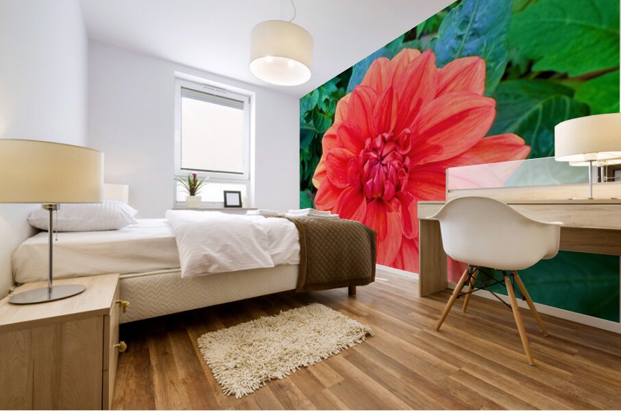 Dahlia Inferna: The Flame That Blossoms Mural print