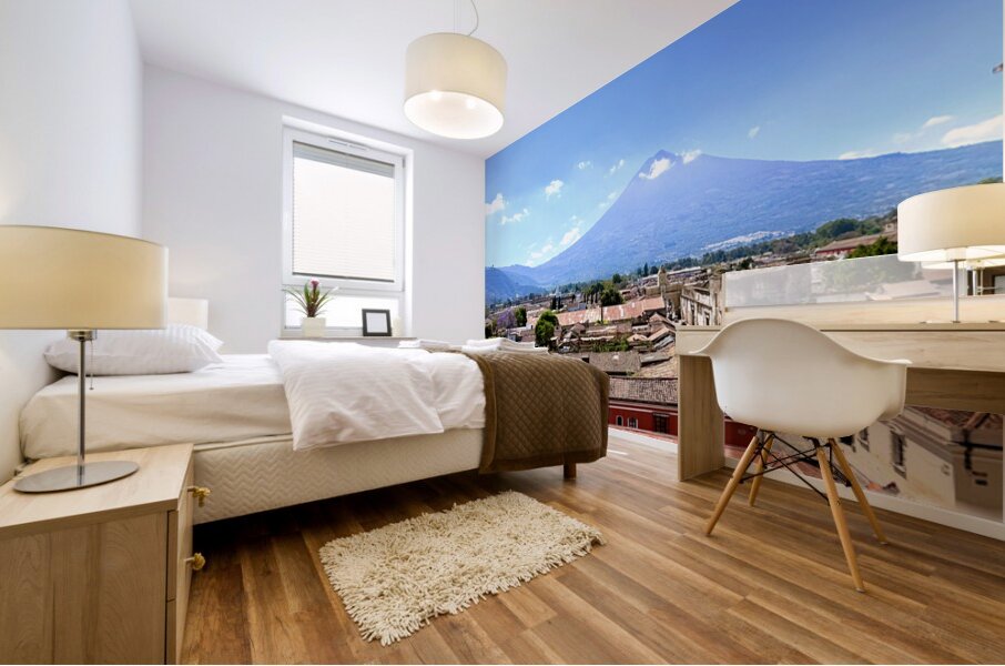 IMG 0157 Mural print