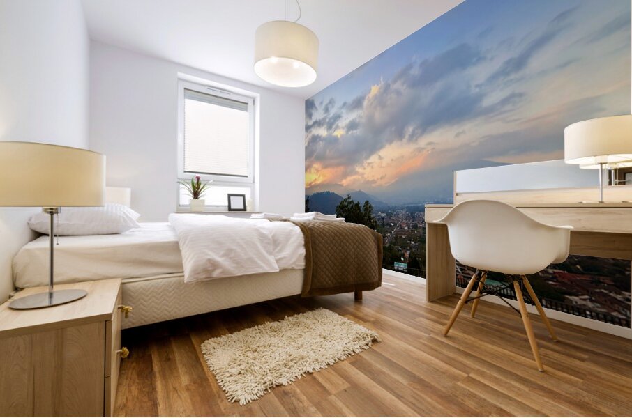 IMG 0498 Mural print