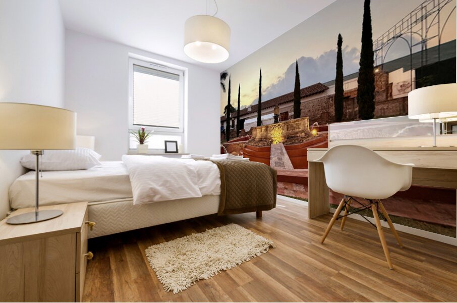 IMG 9984 Mural print