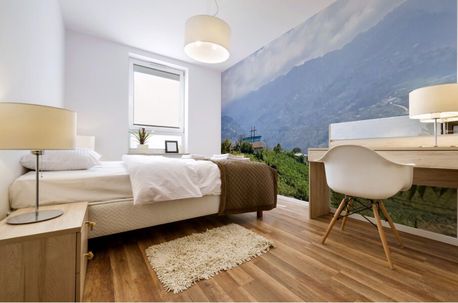 IMG 9267 Mural print