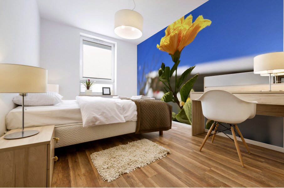 IMG 9796 Mural print