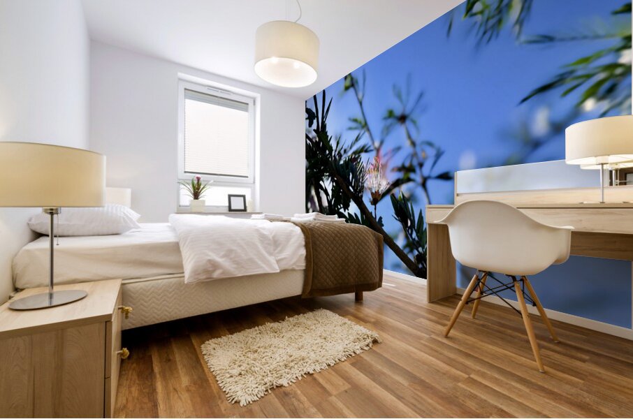 IMG 0029 Mural print