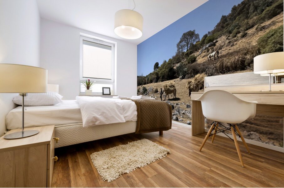 IMG 9555 Mural print