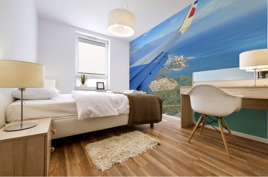 IMG 0550 Mural print