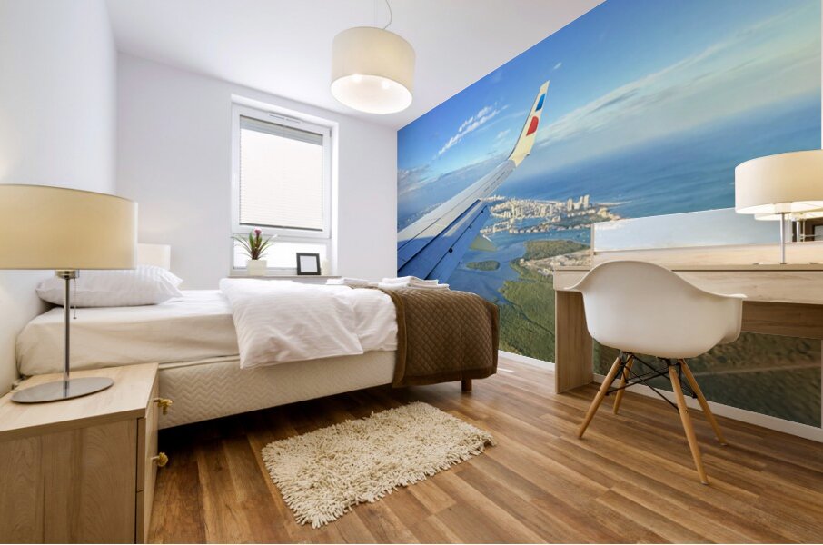 IMG 0552 Mural print