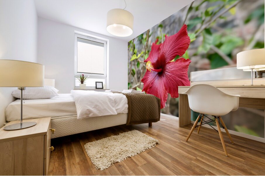 IMG 9955 Mural print