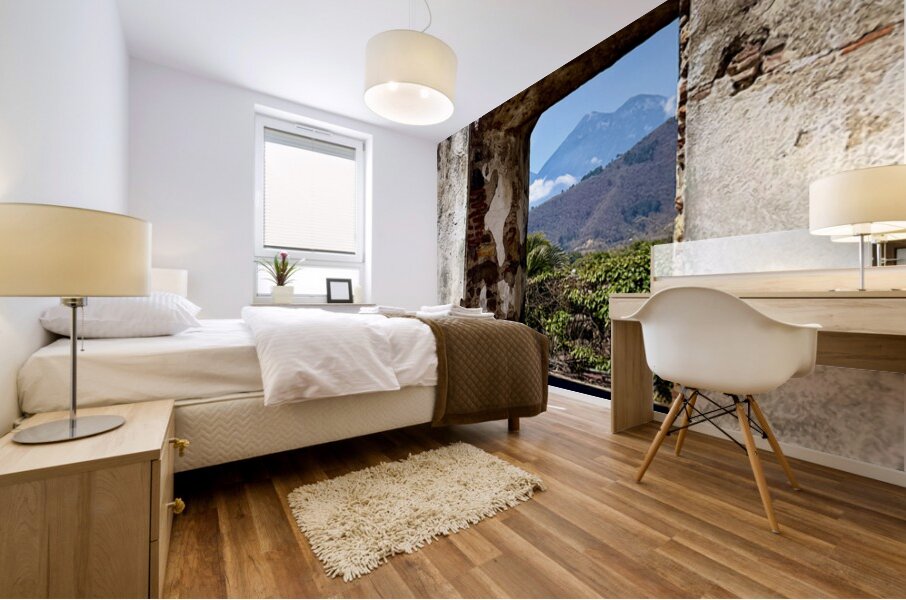 IMG 0101 Mural print