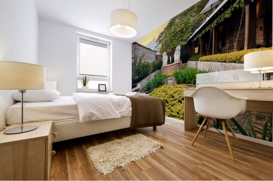 IMG 9950 Mural print