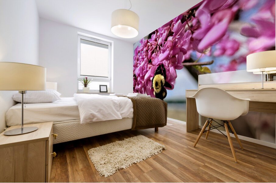 IMG 1570 Mural print