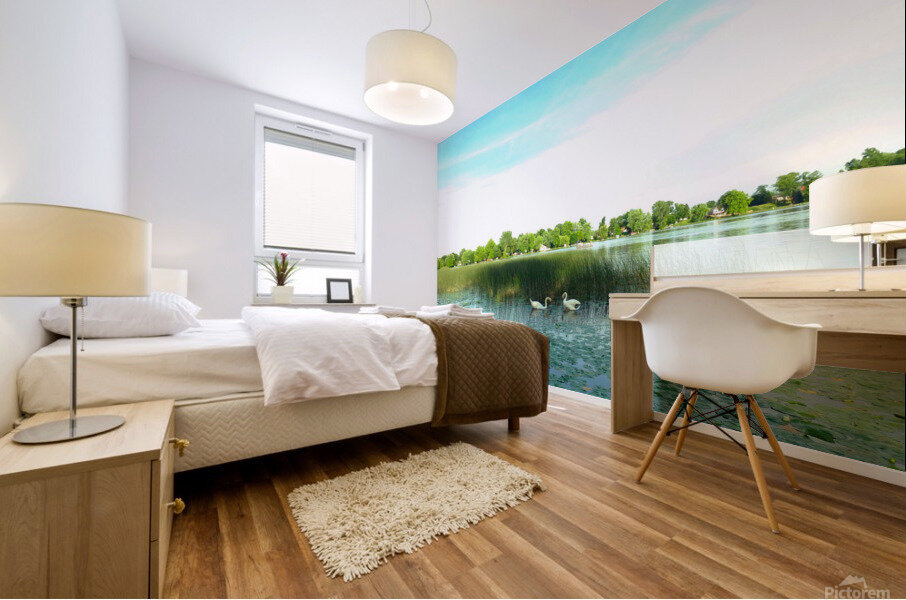 MI Swan Lake 2 Mural print