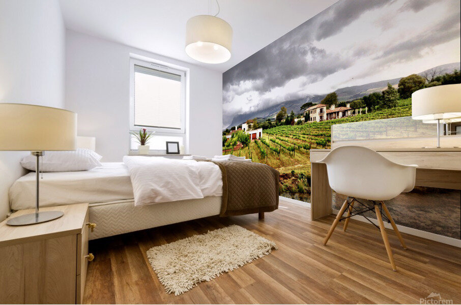 Vineyard in South Africa Mural print